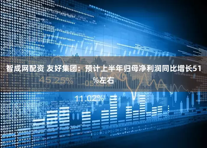 智成网配资 友好集团：预计上半年归母净利润同比增长51%左右