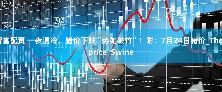 智富配资 一夜遇冷，猪价下跌“势如破竹”！附：7月24日猪价_The_price_Swine
